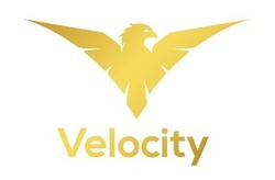 Свідоцтво торговельну марку № 291813 (заявка m201907543): velocity