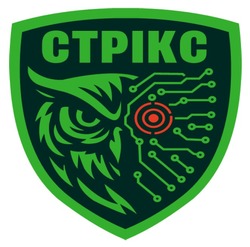 Заявка на торговельну марку № m202519675: стрікс