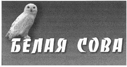 Свідоцтво торговельну марку № 170819 (заявка m201211834): белая сова