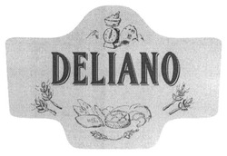 Свідоцтво торговельну марку № 208217 (заявка m201415485): deliano