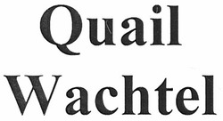 Свідоцтво торговельну марку № 173492 (заявка m201211610): quail; wachtel
