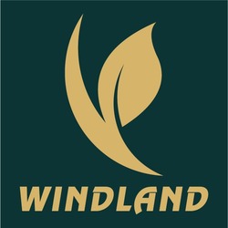 Заявка на торговельну марку № m202320426: v; windland