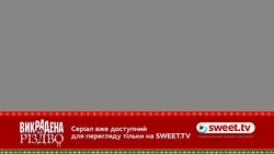 Заявка на торговельну марку № m202524036