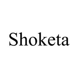 Заявка на торговельну марку № m202522525: shoketa