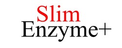 Заявка на торговельну марку № m202400203: slim enzyme+