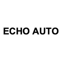 Свідоцтво торговельну марку № 298024 (заявка m201906094): echo auto; есно