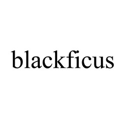 Свідоцтво торговельну марку № 296058 (заявка m201913400): blackficus