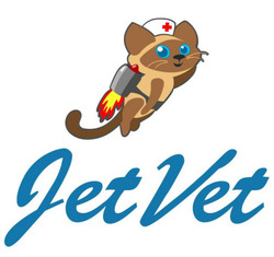Заявка на торговельну марку № m202518580: jet vet; jetvet