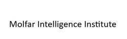 Заявка на торговельну марку № m202511238: molfar intelligence institute