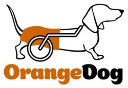 Заявка на торговельну марку № m202302640: orange dog; orangedog