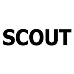 Свідоцтво торговельну марку № 330900 (заявка m201929852): scout