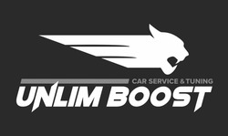 Заявка на торговельну марку № m202411368: unlim boost car service & tuning