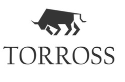 Свідоцтво торговельну марку № 371649 (заявка m202010572): torross