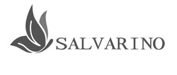 Свідоцтво торговельну марку № 282505 (заявка m202001137): salvarino