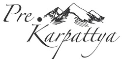 Свідоцтво торговельну марку № 263496 (заявка m201726764): pre.karpattya; pre karpattya