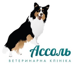 Заявка на торговельну марку № m202515960: ассоль ветеринарна клініка