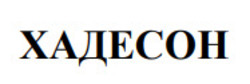 Заявка на торговельну марку № m202516965: хадесон