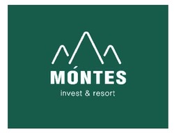 Заявка на торговельну марку № m202420019: vvv; montes invest & resort