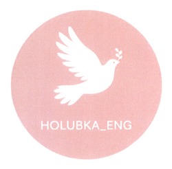 Заявка на торговельну марку № m202606723: holubka eng; holubka_eng