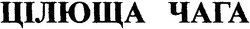 Свідоцтво торговельну марку № 47596 (заявка 20021210636): цілюща чага