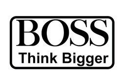 Заявка на торговельну марку № m202009147: boss think bigger