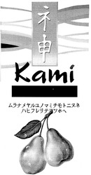 Заявка на торговельну марку № 20040910185: каті; kami