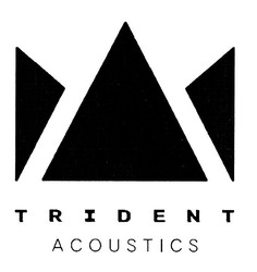 Свідоцтво торговельну марку № 309635 (заявка m201926415): trident acoustics