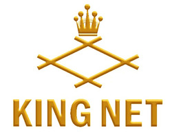 Свідоцтво торговельну марку № 343373 (заявка m202203257): king net