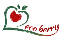 Заявка на торговельну марку № m202107420: eco berry