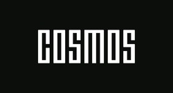 Свідоцтво торговельну марку № 315372 (заявка m202108105): cosmos