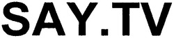 Заявка на торговельну марку № m201116248: say.tv