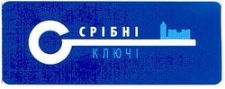 Свідоцтво торговельну марку № 99838 (заявка m200710053): срібні ключі