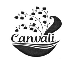 Свідоцтво торговельну марку № 223346 (заявка m201617596): canvali
