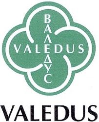 Свідоцтво торговельну марку № 37138 (заявка 2002021637): валедус; valedus