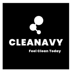 Заявка на торговельну марку № m202605452: feel clean today; cleanavy