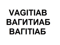 Заявка на торговельну марку № m202125140: вагітіаб; вагитиаб; vagitiab