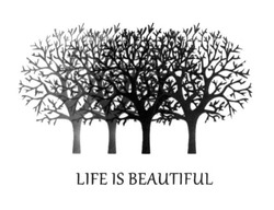 Свідоцтво торговельну марку № 245007 (заявка m201626023): life is beautiful