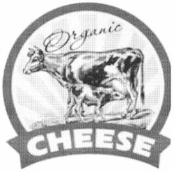 Заявка на торговельну марку № m201102092: organic cheese