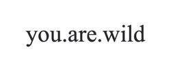 Заявка на торговельну марку № m202607271: you are wild; you.are.wild