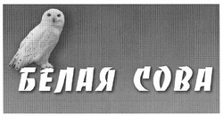 Свідоцтво торговельну марку № 166892 (заявка m201120121): белая сова