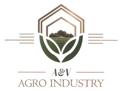 Заявка на торговельну марку № m202419431: agro industry; а; a&v