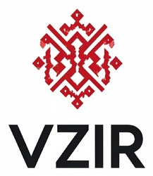 Заявка на торговельну марку № m202418936: vzir