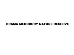Свідоцтво торговельну марку № 314705 (заявка m202009126): brama medobory nature reserve