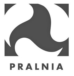Свідоцтво торговельну марку № 290356 (заявка m201826551): pralnia