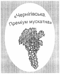 Свідоцтво торговельну марку № 189874 (заявка m201305538): чернігівська. преміум мускатна