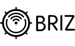 Заявка на торговельну марку № m202512815: briz