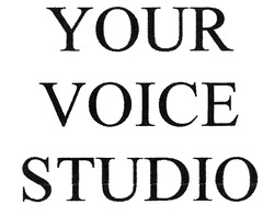 Свідоцтво торговельну марку № 301782 (заявка m201914858): your voice studio
