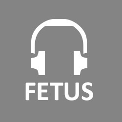 Свідоцтво торговельну марку № 317333 (заявка m202015404): fetus