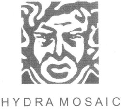 Свідоцтво торговельну марку № 160590 (заявка m201204775): hydra mosaic