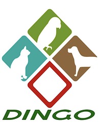 Заявка на торговельну марку № m202309377: dingo